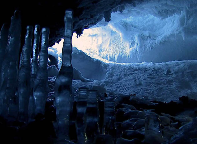 Encounters at the End of the World Werner Herzog Antarctica