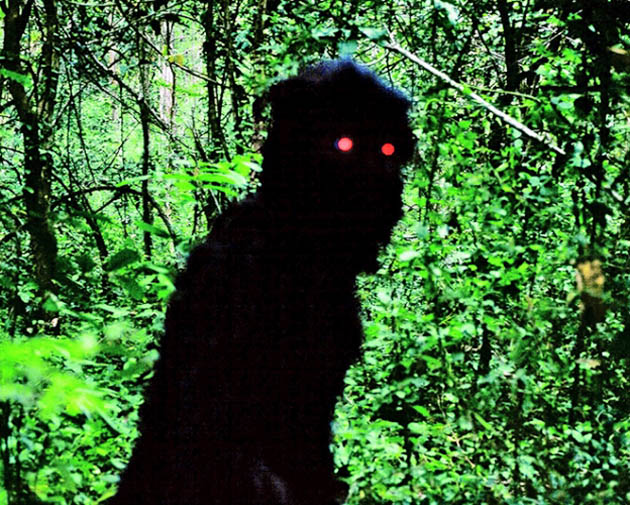 Apichatpong Weerasethakul's Uncle Boonmee Who Can Recall His Past Lives