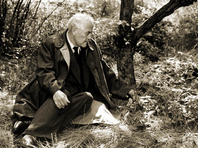 Wild Strawberries Victor Sjöström