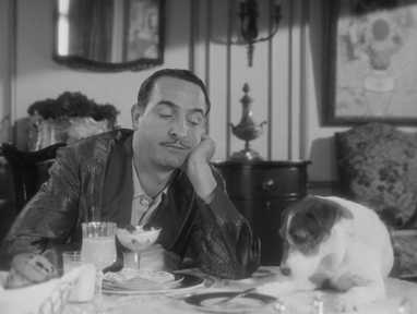 Uggie The Artist Jean Dujardin