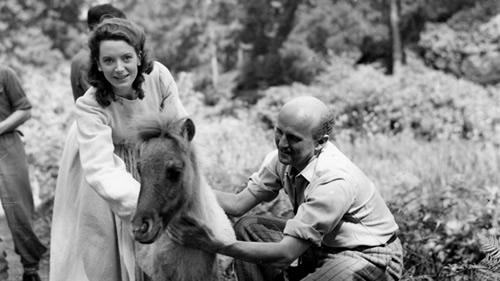 Deborah Kerr Michael Powell Black Narcissus