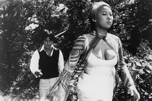 Japanese Summer: Double Suicide by Nagisa Oshima