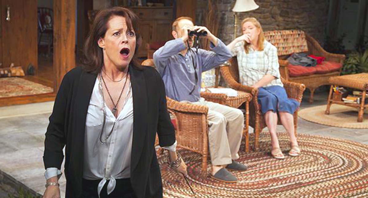 Sigourney Weaver Broadway play Vanya and Sonya and Masha and Spike Sigourney Weaver Broadway play Vanya and Sonya and Masha and Spike